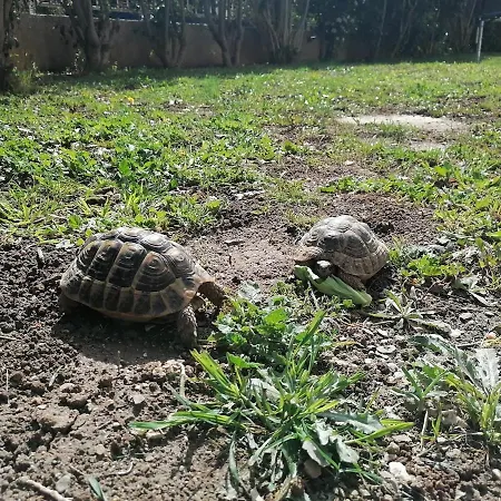 Maison De Famille à 2 Kms De La *